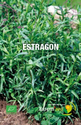 Semence Semences de condimentaires ESTRAGON - BIO