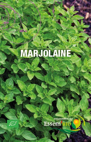 MARJOLAINE - BIO