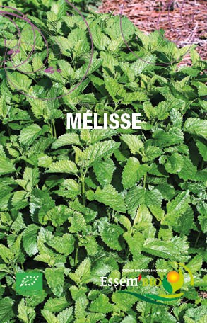 MELISSE - BIO