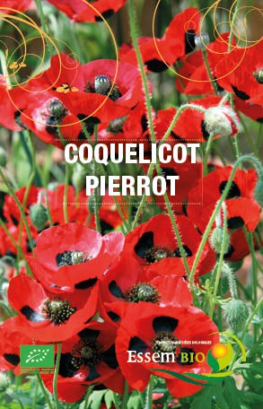 COQUELICOT PIERROT - BIO
