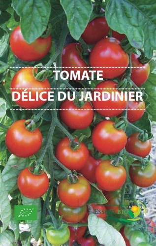 Semence Tomates DÉLICE DU JARDINIER - BIO