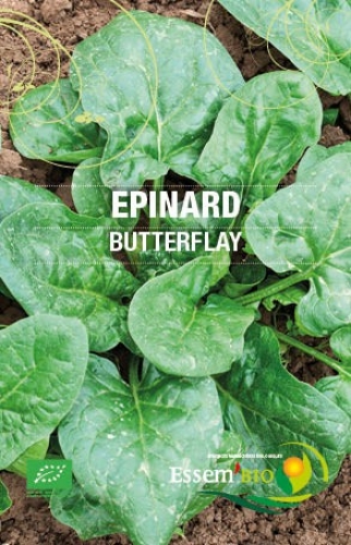 Semence Epinards BUTTERFLAY - BIO