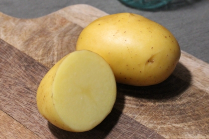 Semence Pommes de terre MAÏWEN  (livraison à partir du 15 Février)  - BIO