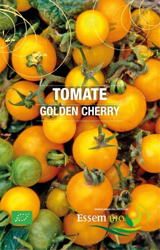 Semence Tomates GOLDEN CHERRY - BIO