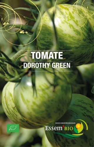 Semence Tomates DOROTHY GREEN - BIO