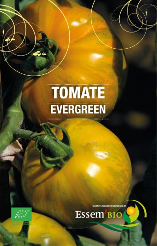 Semence Tomates EVERGREEN - BIO