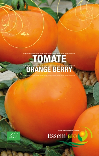 Semence Tomates ORANGE BERRY 