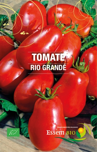 Semence Tomates RIO GRANDE - BIO
