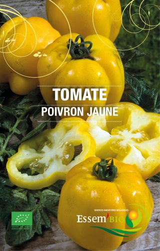 Semence Tomates POIVRON JAUNE - BIO