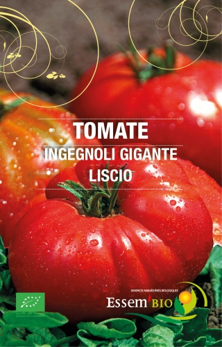 Semence Tomates INGEGNOLI GIGANTE LISCIO - BIO
