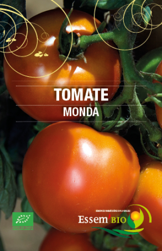 Semence Tomates MONDA - BIO