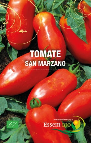 Semence Tomates SAN MARZANO - BIO