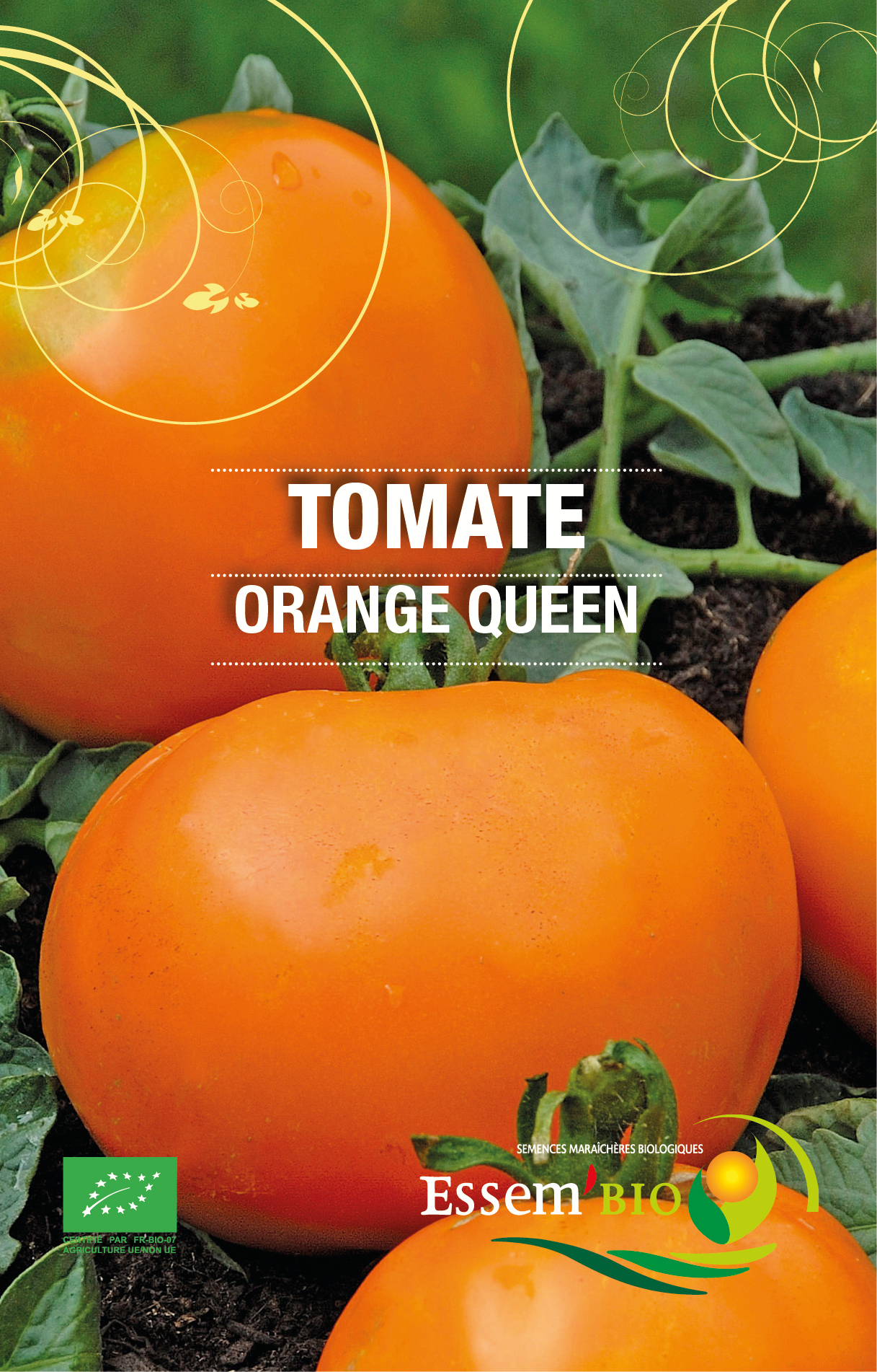 ORANGE QUEEN - BIO