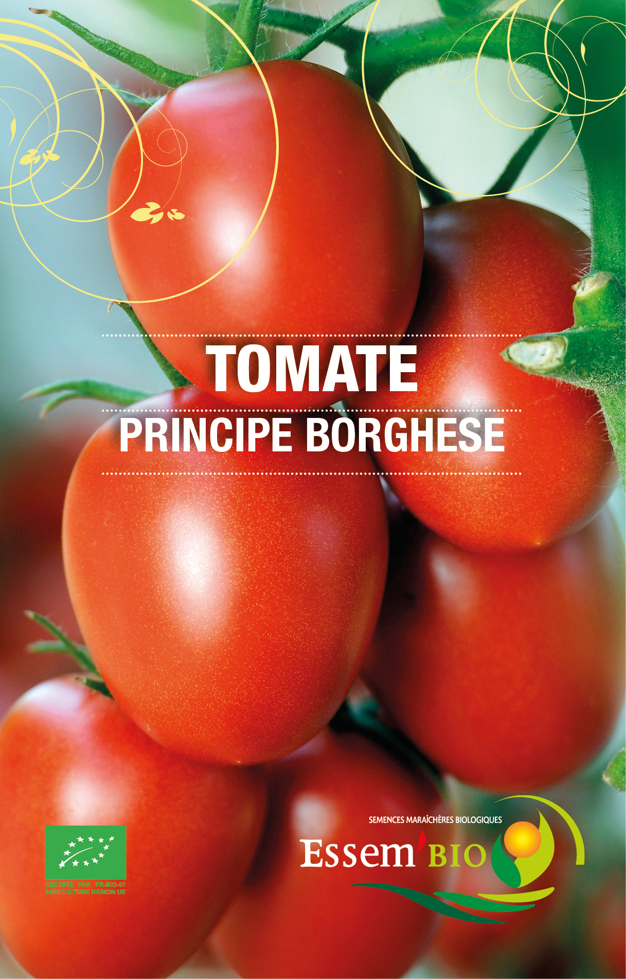 PRINCIPE BORGHESE - BIO