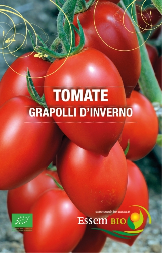 Semence Tomates GRAPPOLI D'INVERNO - BIO