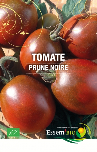 Semence Tomates PRUNE NOIRE - BIO