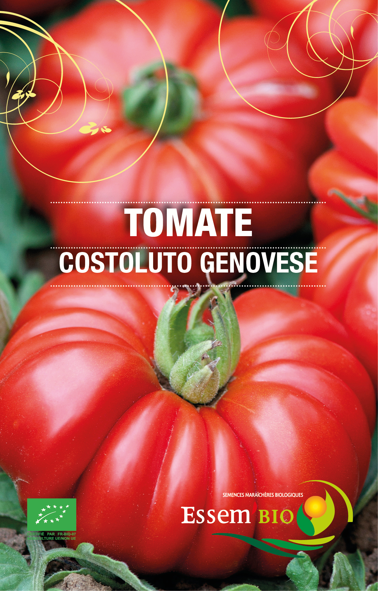 COSTOLUTO GENOVESE - BIO