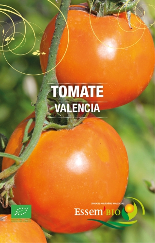 Semence Tomates VALENCIA - BIO