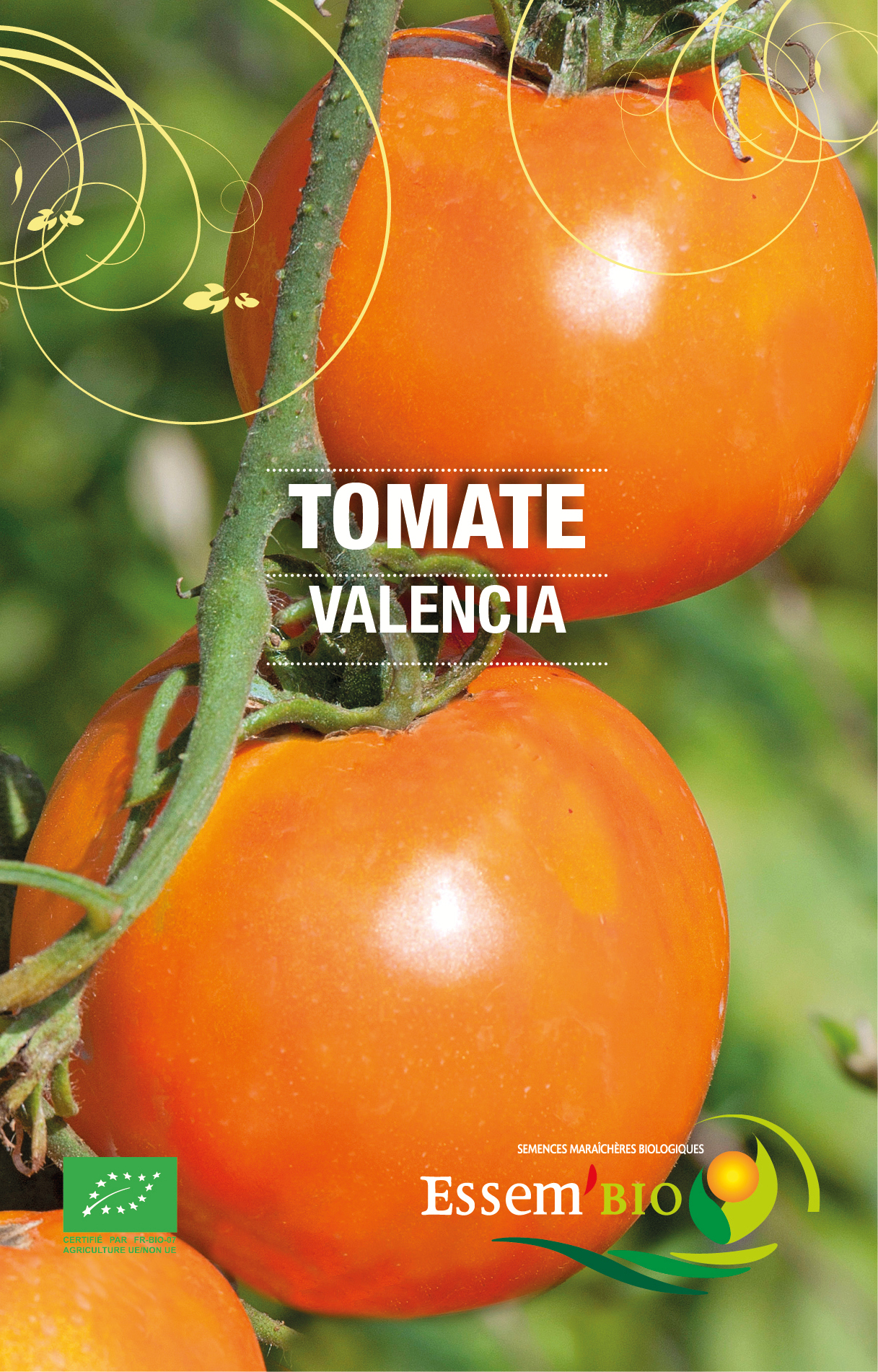 VALENCIA - BIO