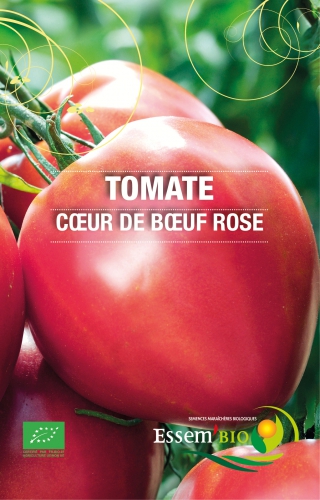 Semence Tomates CUOR DI BUE race  Rose - BIO