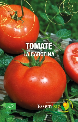 Semence Tomates LA CAROTINA - BIO
