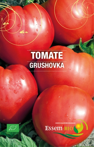 Semence Tomates GRUSHOVKA - BIO