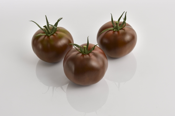 Semence Tomates F1 KAKAO F1 - BIO