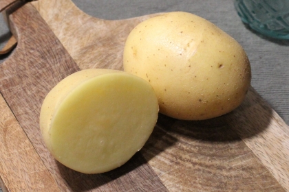 Semence Pommes de terre PRIM'LADY RIKEA (livraison a partir du 15 Fevrier) - BIO
