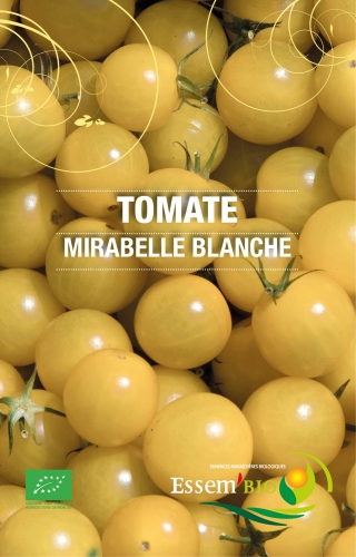 Semence Tomates MIRABELLE BLANCHE - BIO
