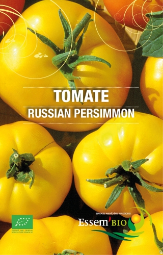 Semence Tomates RUSSIAN PERSIMMON - BIO
