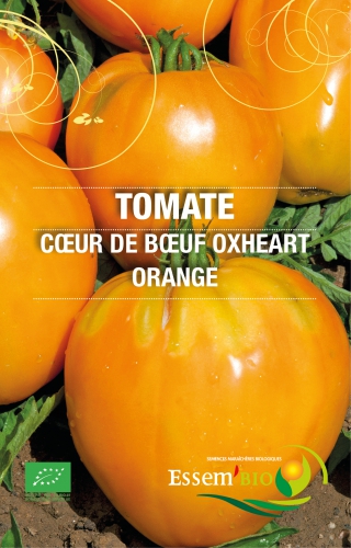 Semence Tomates OXHEART ORANGE - BIO