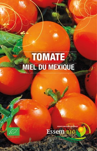 Semence Tomates MIEL DU MEXIQUE - BIO