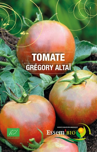 Semence Tomates GREGORY ALTAI - BIO
