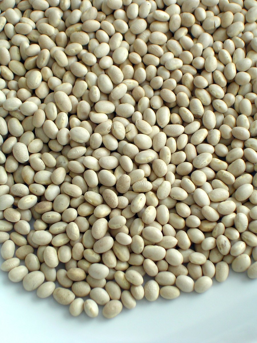 COCO BLANC ( pour consommation humaine)- BIO