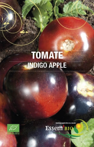 Semence Tomates INDIGO APPLE - BIO
