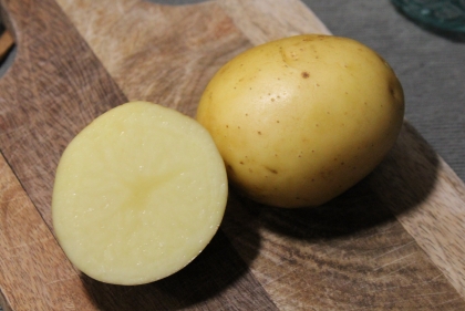 Semence Pommes de terre LADY CHRITL (livraison à partir du 15 février)- BIO