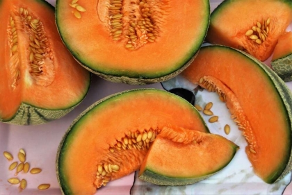 Semence Melons MELON D'AMÉRIQUE A CHAIR ROUGE - BIO