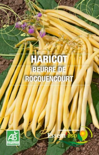 Semence Gamme jardiniers BEURRE DE ROCQUENCOURT - BIO