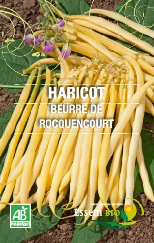 Graines De Haricot Beurre Rocquencourt - Phaseolus Vulgaris - Sachet De 75 Grammes - Le Grenier D'Abondance