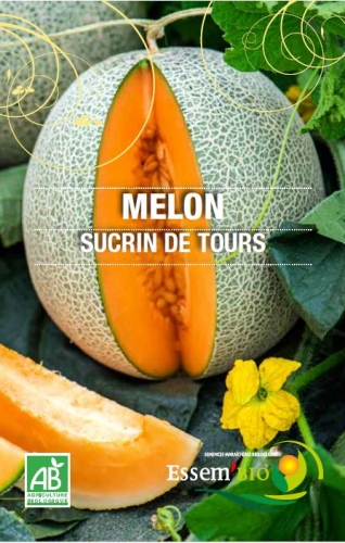 Semence Melons SUCRIN DE TOURS - BIO