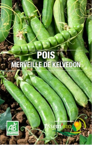 Semence Gamme jardiniers MERVEILLE DE KELVEDON - BIO