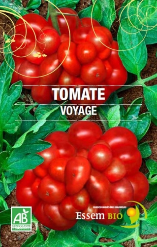 Semence Tomates VOYAGE - BIO