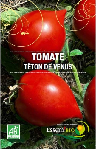 Semence Tomates TÊTON DE VENUS - BIO