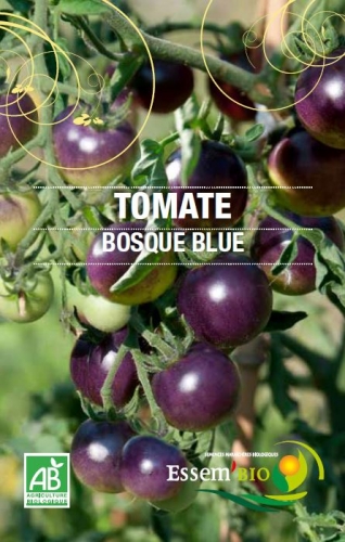 Semence Tomates BOSQUE BLUE - BIO