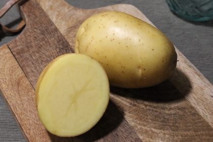 Semence Pommes de terre MONALISA (livraison à partir du 15 février) - BIO - calibre 45/50