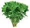 BROCOLI DE COLZA NAMENIA - BIO