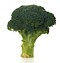 VERT CALABRAIS HATIF - BIO