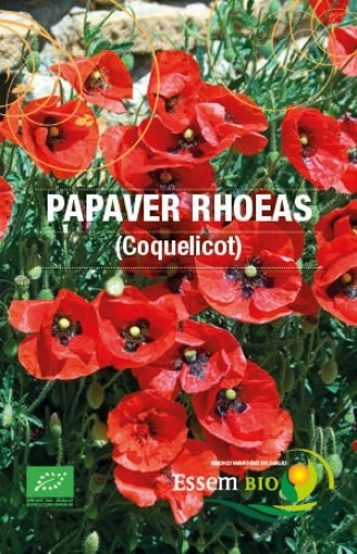 Semence Semences florales PAPAVER RHOEAS (coquelicot) - BIO